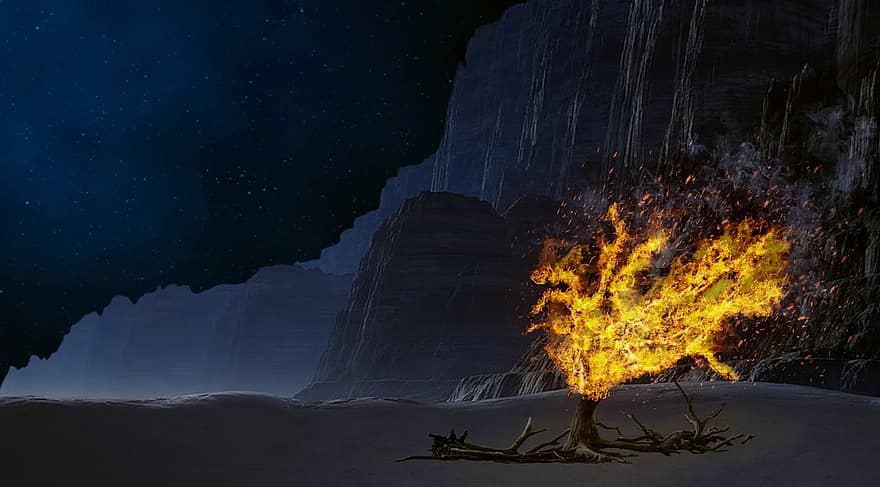 burning bush – for 3-9-21 (from Pikist)