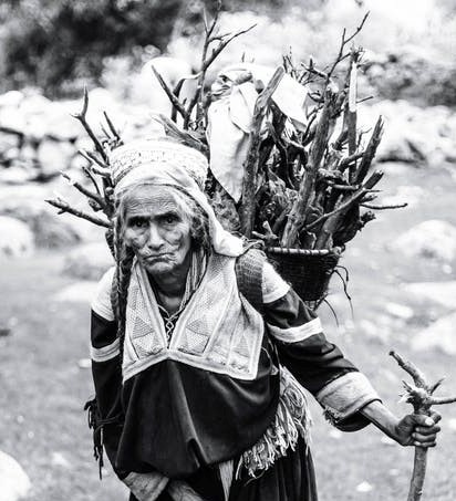 pexels-person carrying sticks – TTTT 4-12-21 – cropped