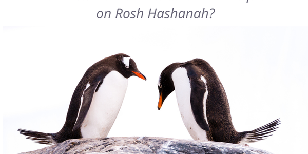 TTTT penguins bowing or straight (RH shofar) – 8-31-21