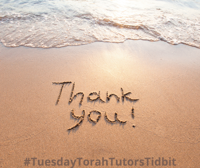 Copy of #TuesdayTorahTutorsTidbit