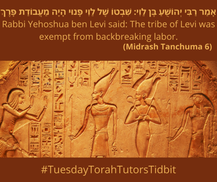 Rabbi Yehoshua ben Levi said