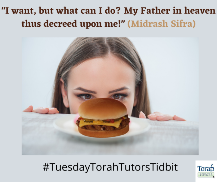 What if a Jew wants a cheeseburger