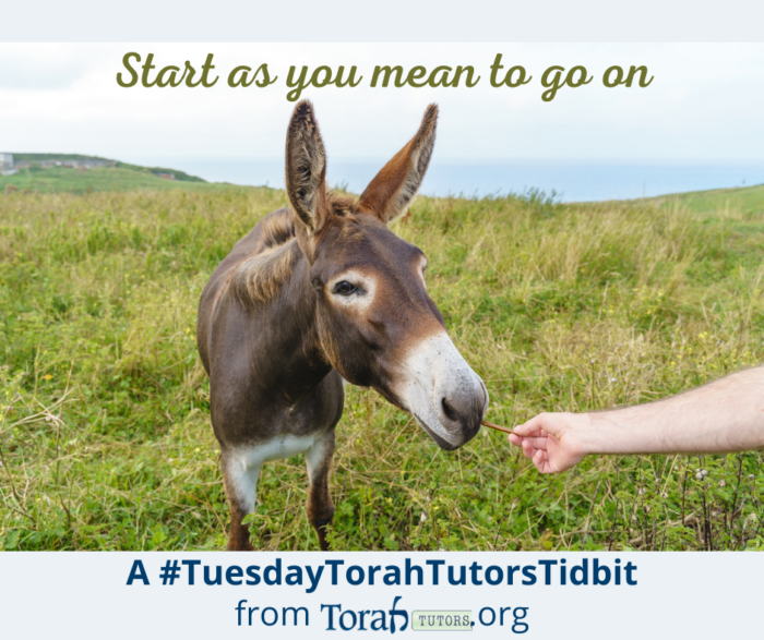 Start as you mean to go on