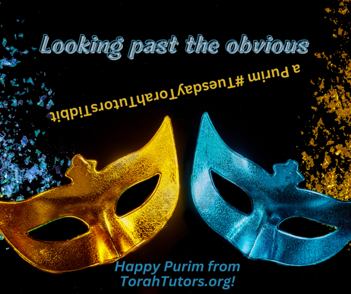 Looking past the obvious