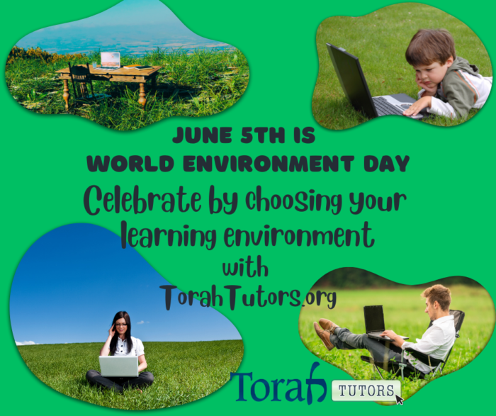 June 5th is World Environment Day (1)