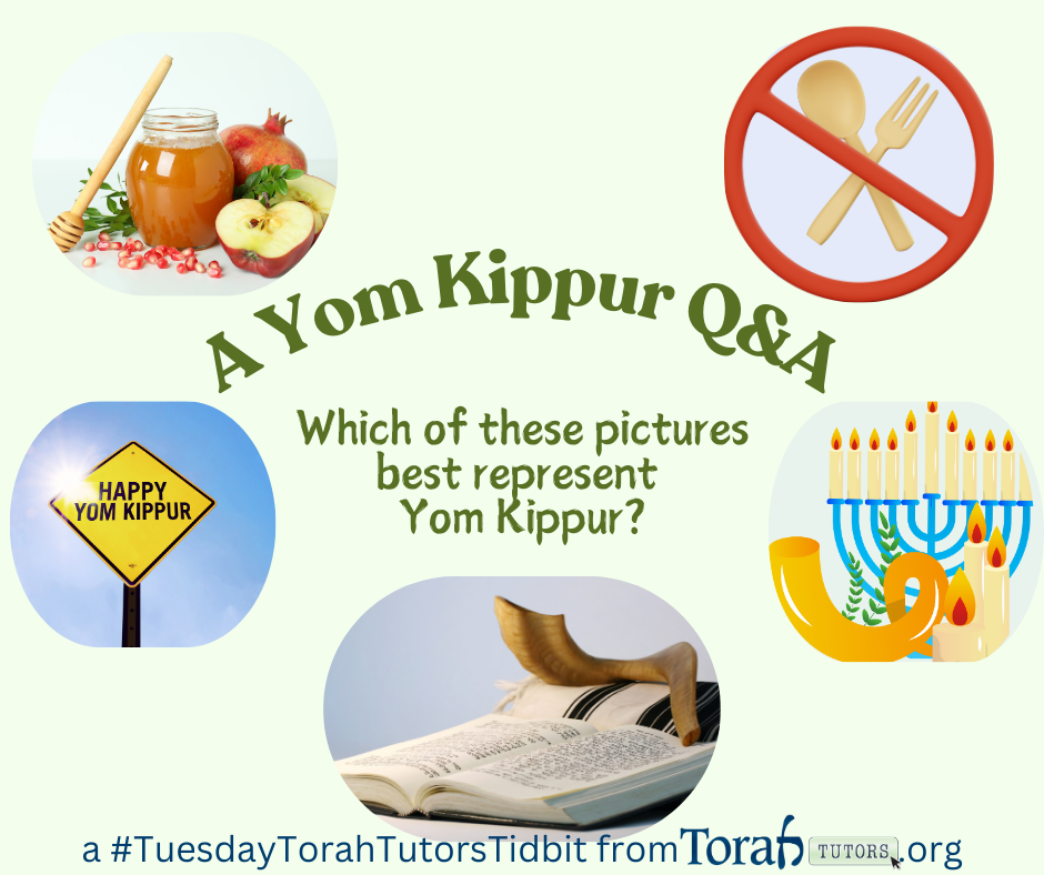 Copy of A Yom Kippur Q&A