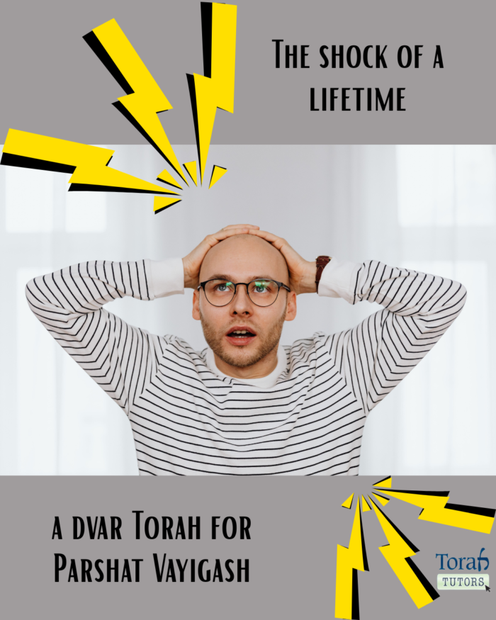 The shock of a lifetime